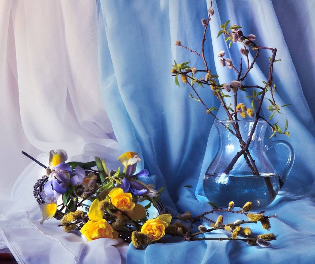 still life, натюрморт, цветы, фото натюрморт, февраль,  зима,настроение, зеркало, отражение, верба, Колова Валентина
