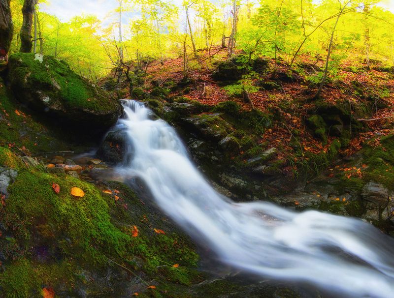 * фото превью