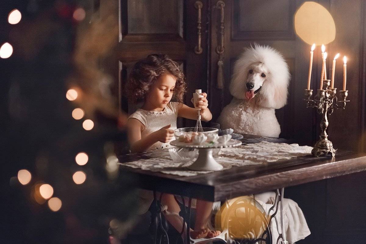 дети, собака, девочка, Оксана Пипкина