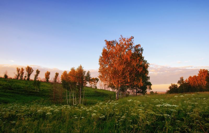 На закате фото превью