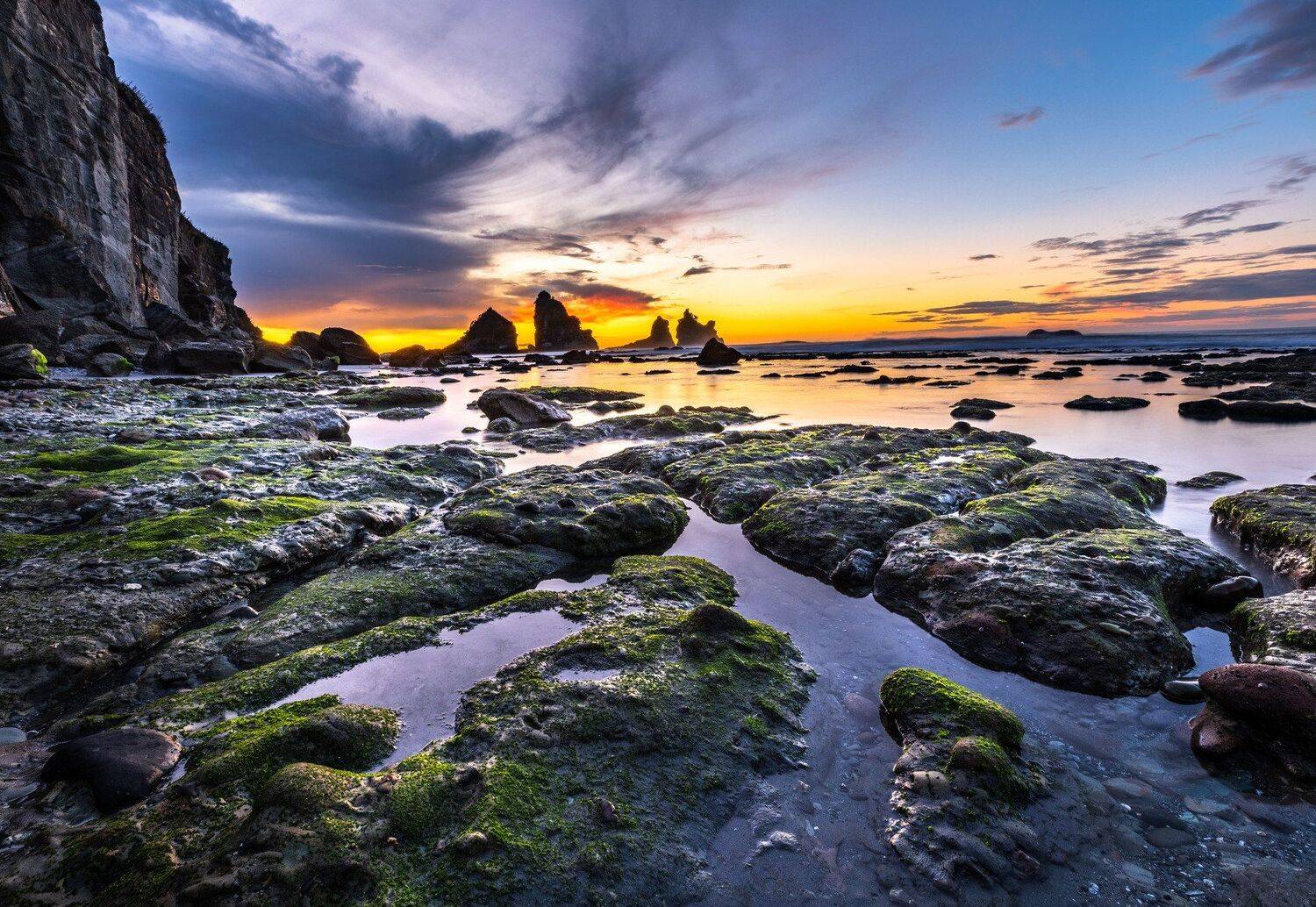 , Александр Лозицкий