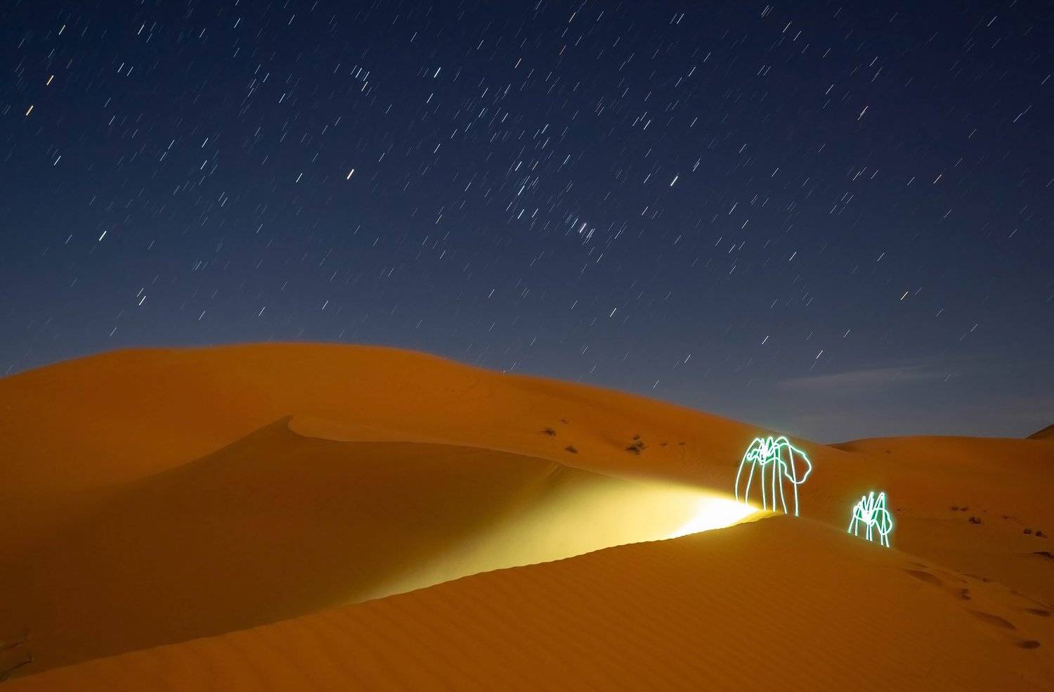 lightpainting, lightart, longexposure, nightphotography, light, night, morocco, merzouga, desert, spider, Николай Требухин