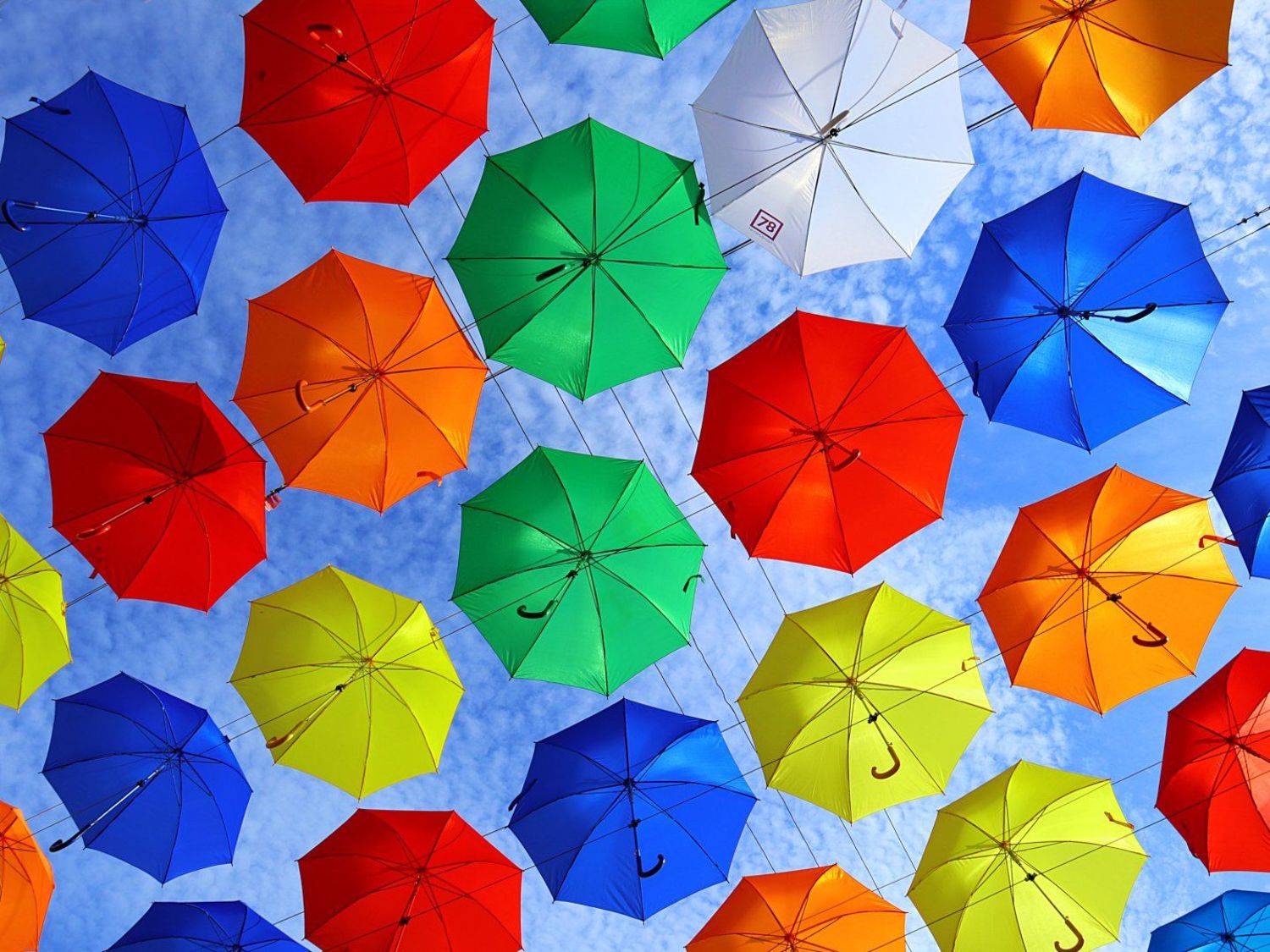 Зонтики освещение, Александр Зорин