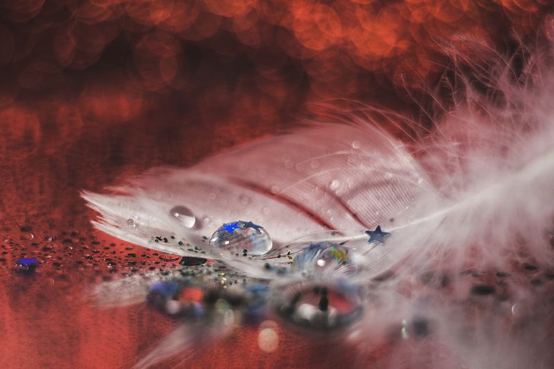 макро, макрофотография, боке, перо, капли  фото превью