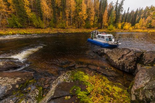 Таежный вояж