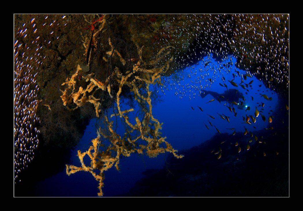 , Марина Кочетова