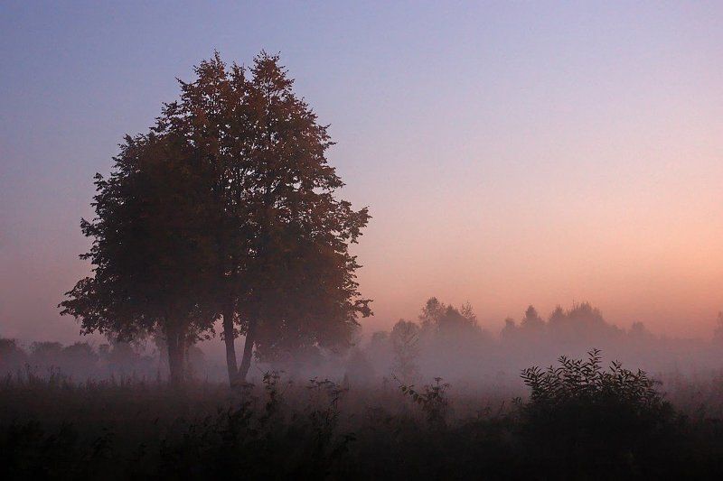 абрамцево вечерняя фото превью