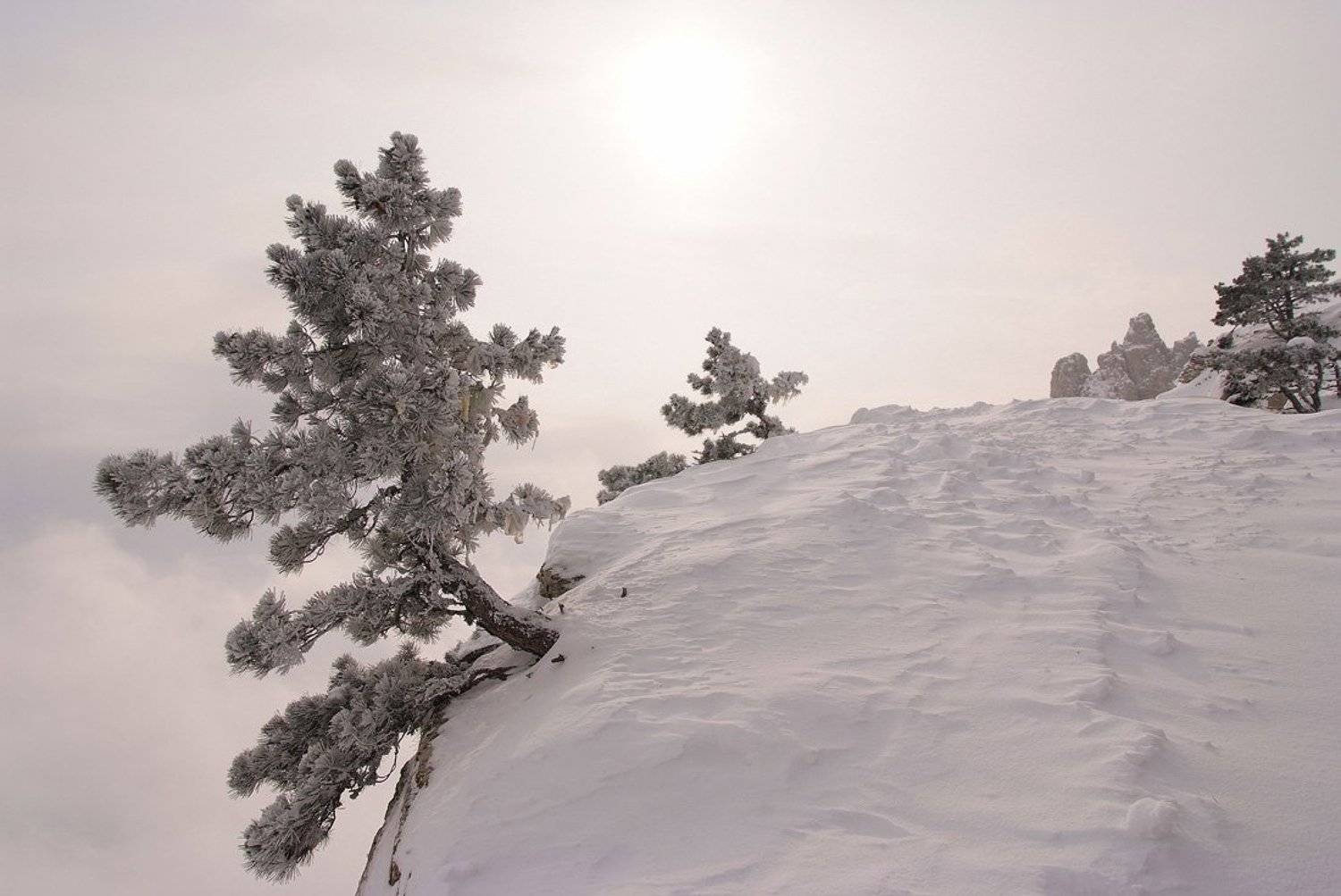 крым, ай петри, Dmitriy Egorov