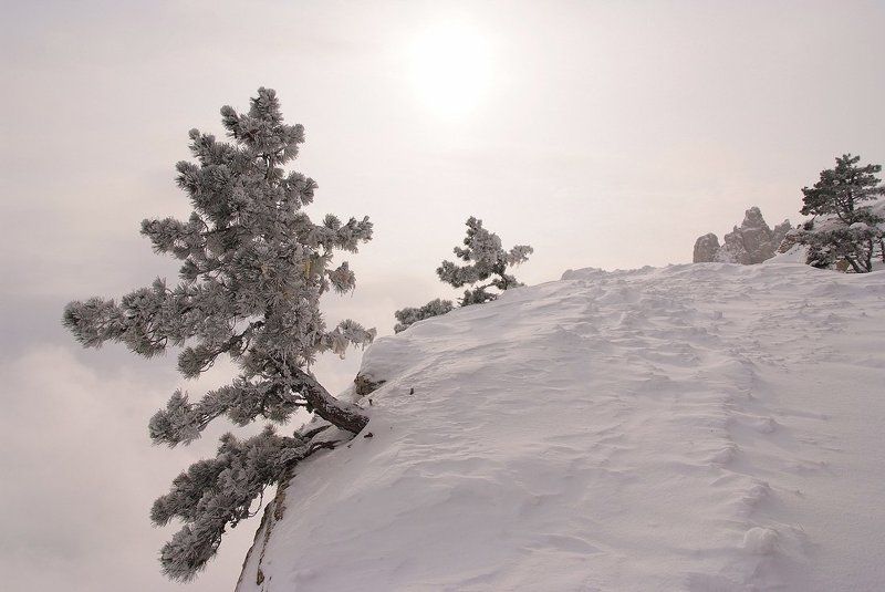 крым, ай петри *** фото превью
