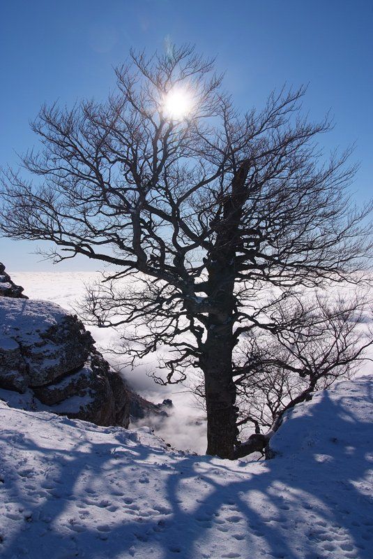 крым *** фото превью