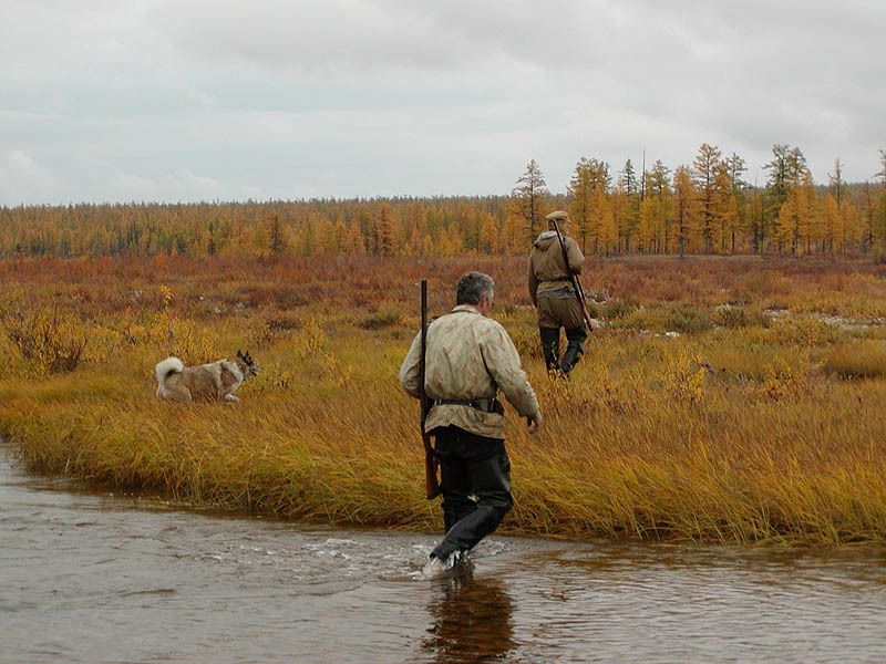 охотники, тайга,осень По ручьям и марям фото превью