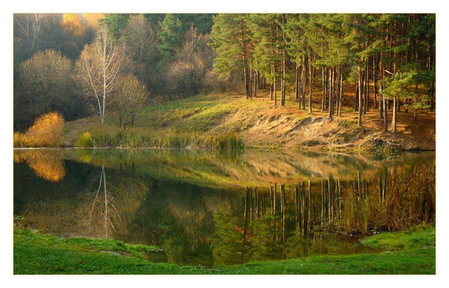 осень, пейзаж, Сергей Дужников