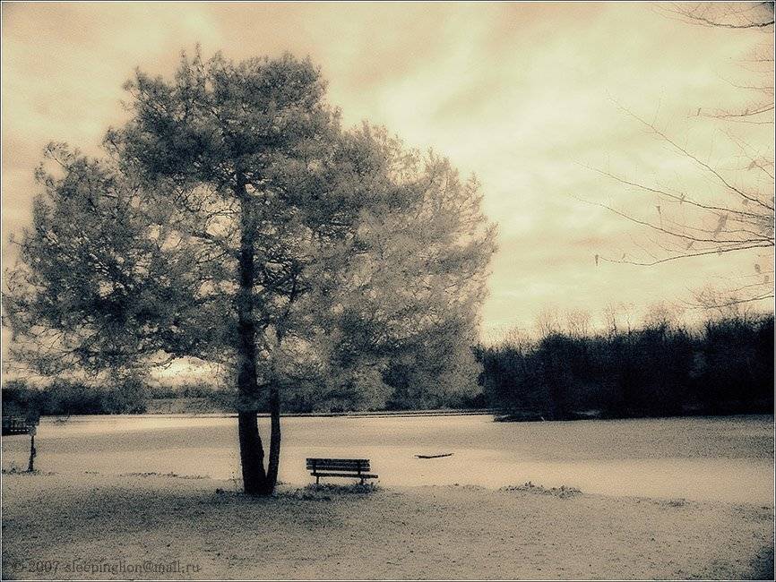 ик, пейзаж, infrared, инфракрасный, инфракрасное, pilgrim, Pilgrim