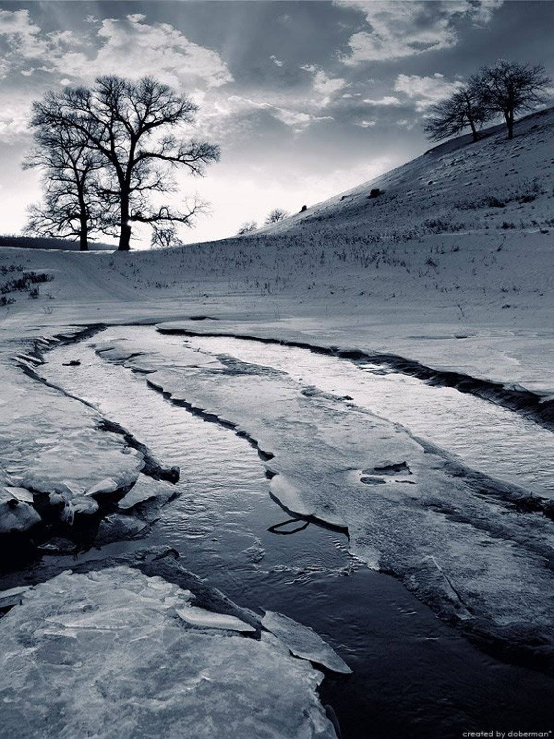 , Денис Богомолов