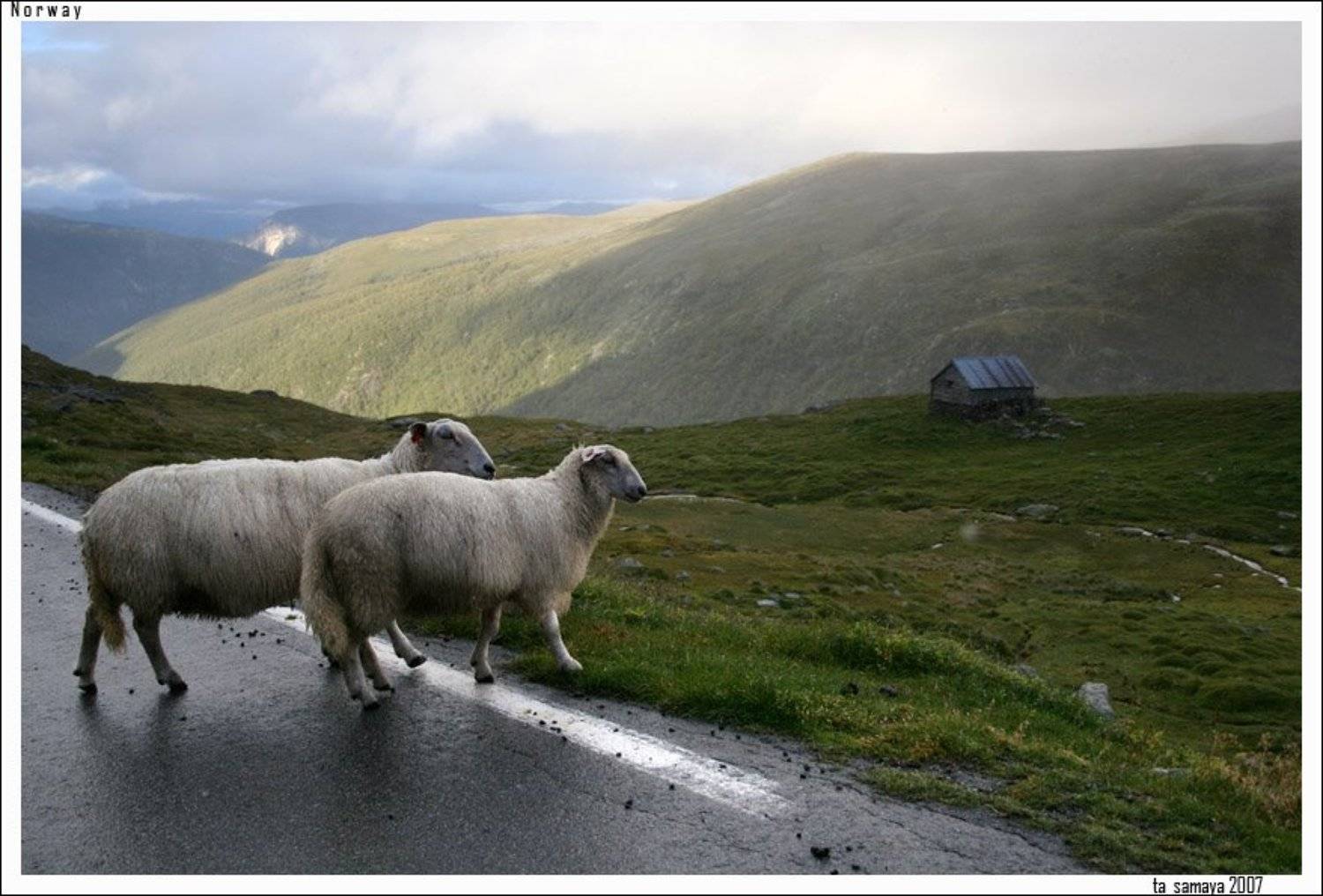 норвегия, tasamaya