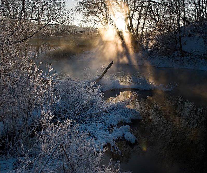 , Дмитрий Милосердов