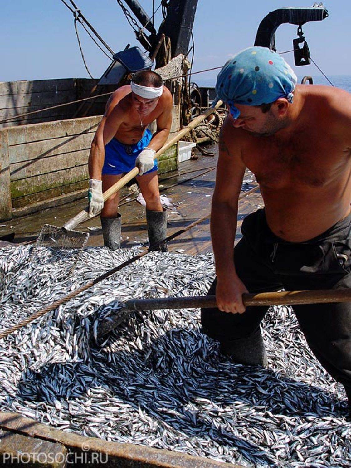 путина, рыбаки, рыба, Евгений Харланов