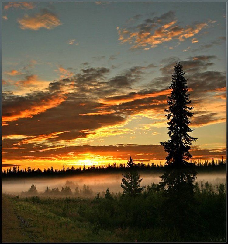 ПОЛНОЧЬ...... фото превью