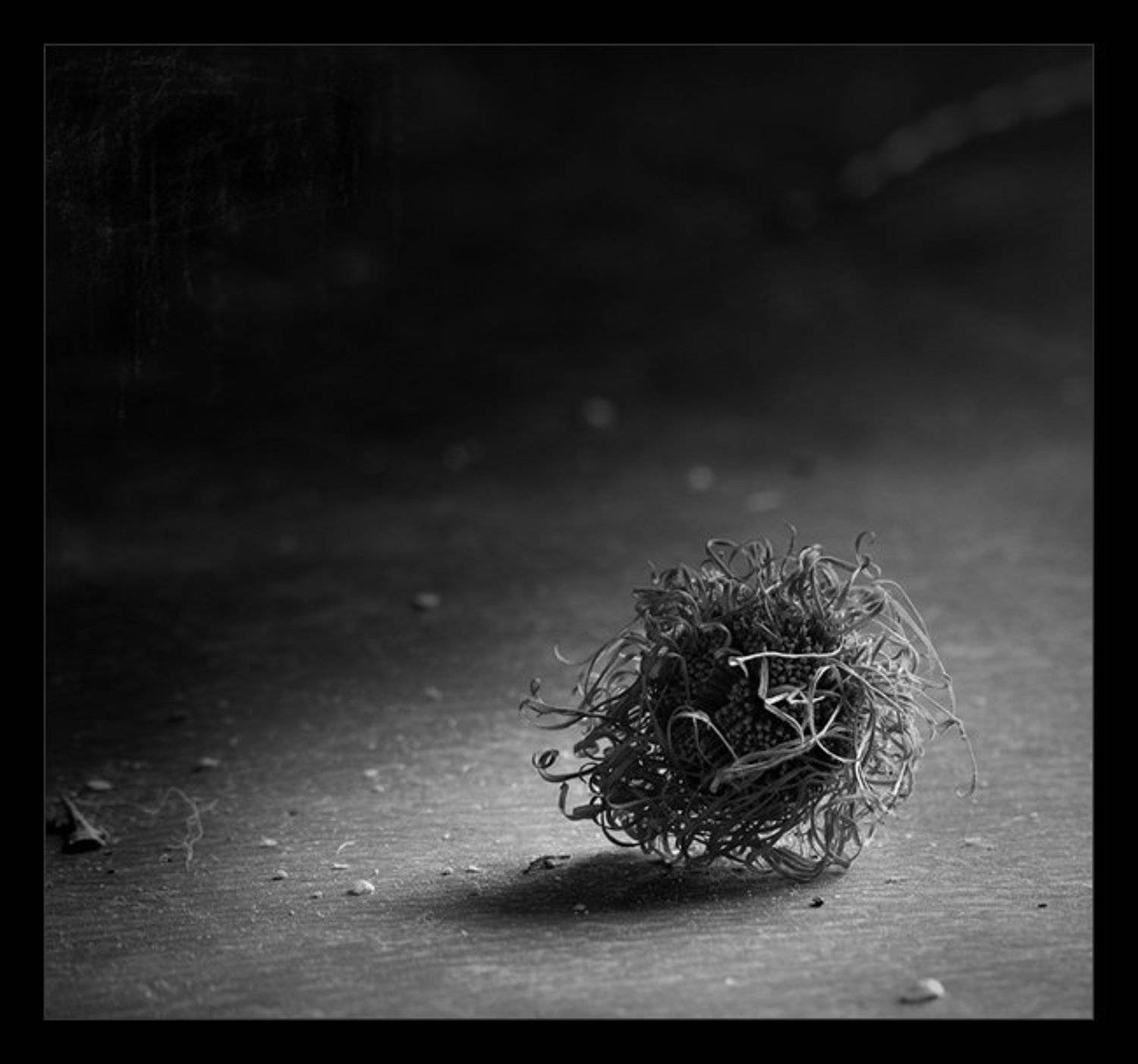 , Владимир Лестровой