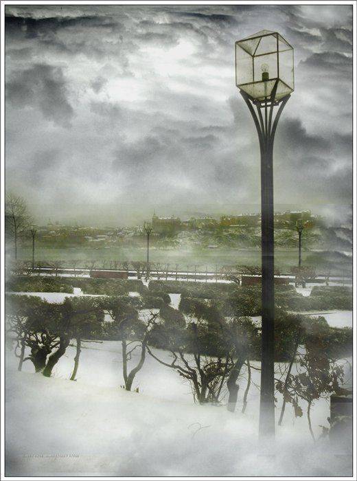 стокгольм, Лариса Запатрина