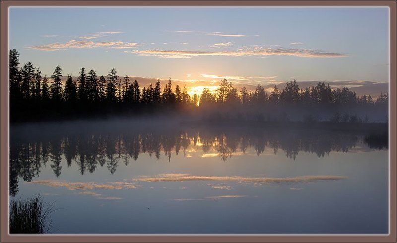 река,тайга,рассвет Утро на реке фото превью