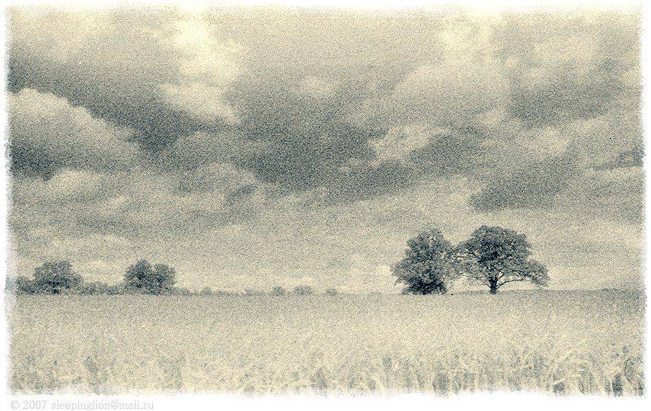 ик, пейзаж, infrared, инфракрасный, инфракрасное, pilgrim, пленка, kodak hie, Pilgrim