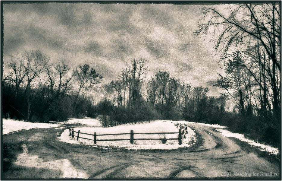 пейзаж, пленка, 35 мм, pilgrim, раздельное тонирование, Pilgrim