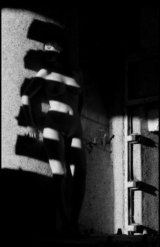 светотень Светотень фото превью