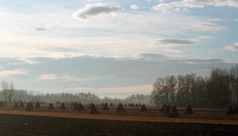 Сербия #1 фото превью