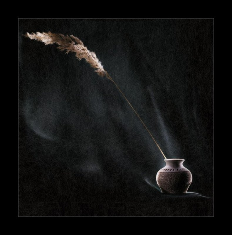 световая кисть О соразмерностях фото превью