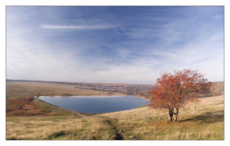 осень, ноябрь, дорога_в_даль, пруд, дерево Про квадратный пруд и одинокое дерево фото превью