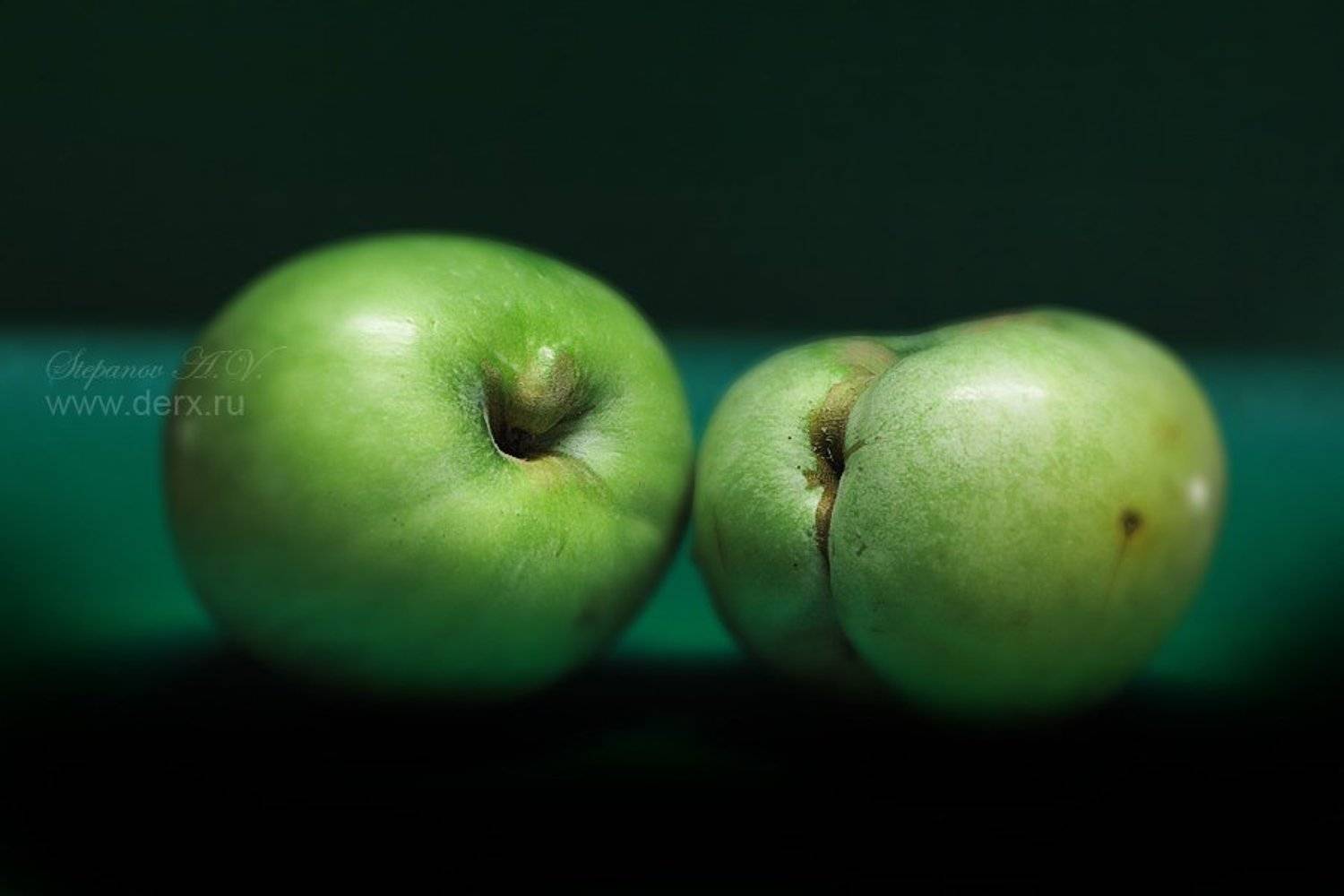 яблоки м ж, Александр Степанов