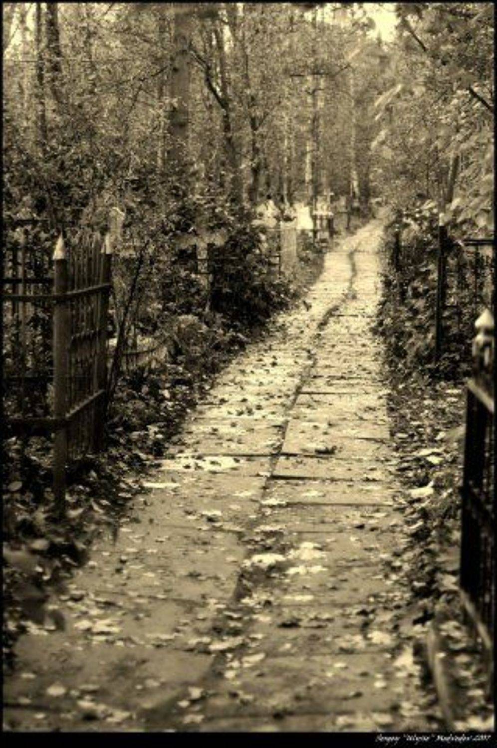 ulysse, кладбище, пейзаж, смерть, Ulysse