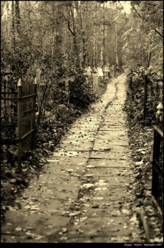 ulysse, кладбище, пейзаж, смерть  фото превью