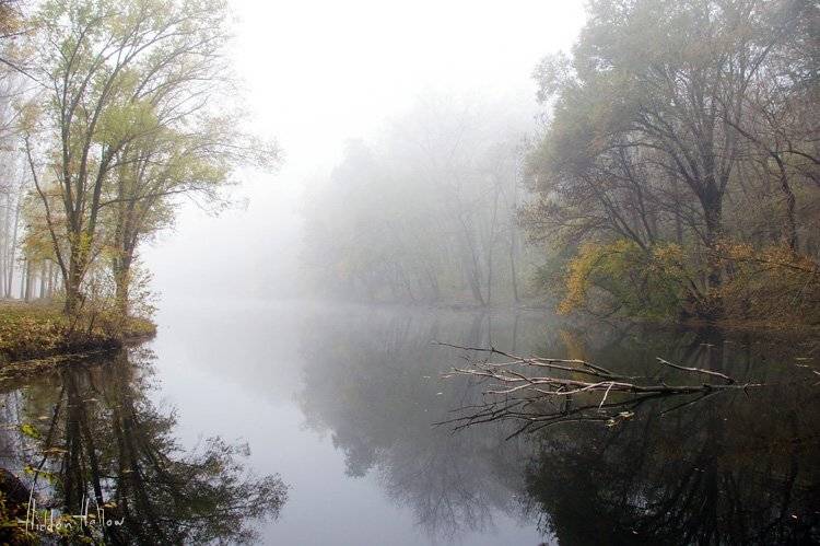 утро хэллоуина, Кирилл Кириллов