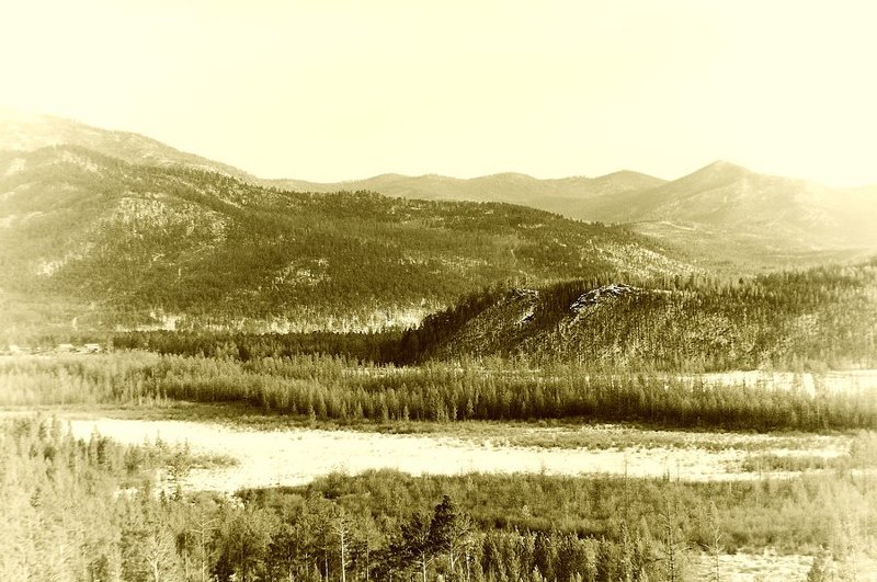 бурятия,тайга,майла Тайга фото превью