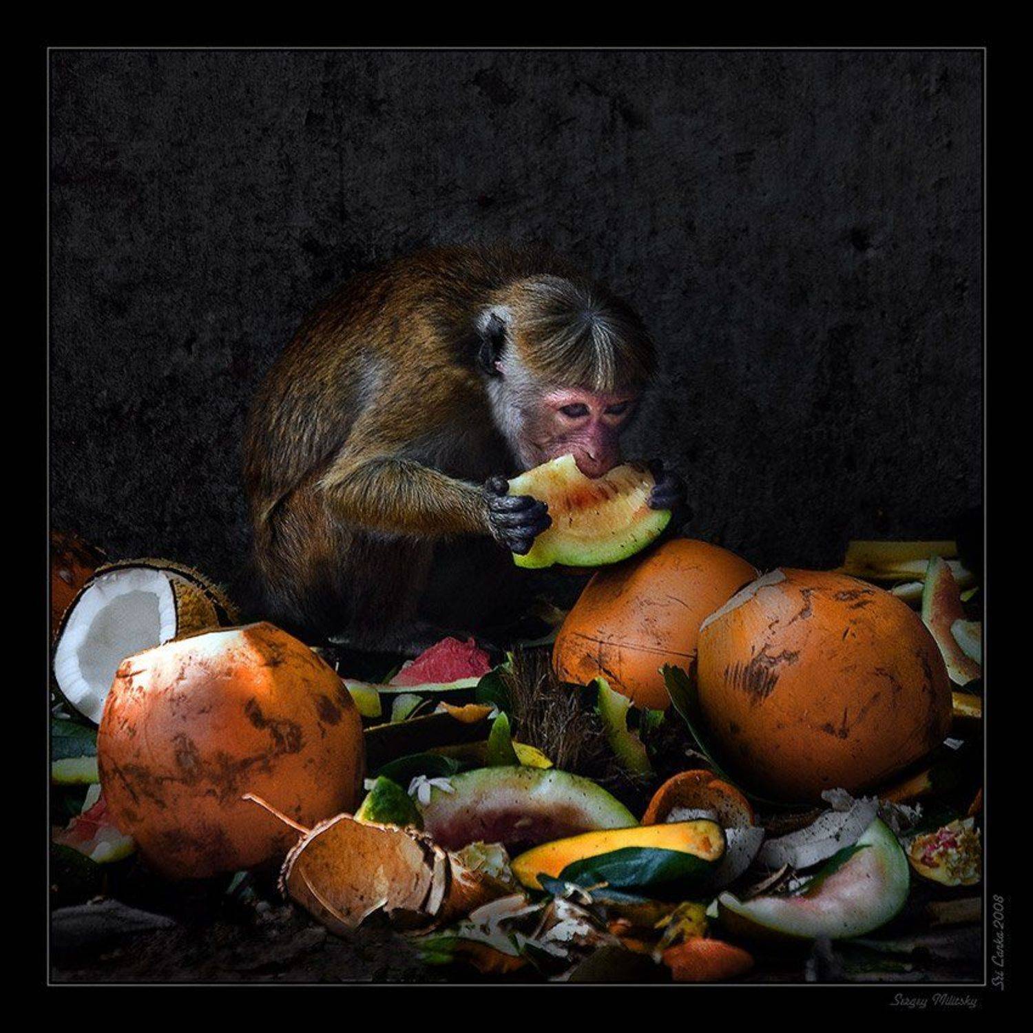 , Сергей Милицкий