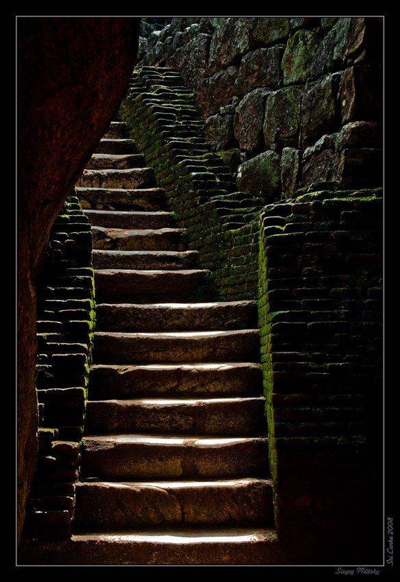 , Сергей Милицкий