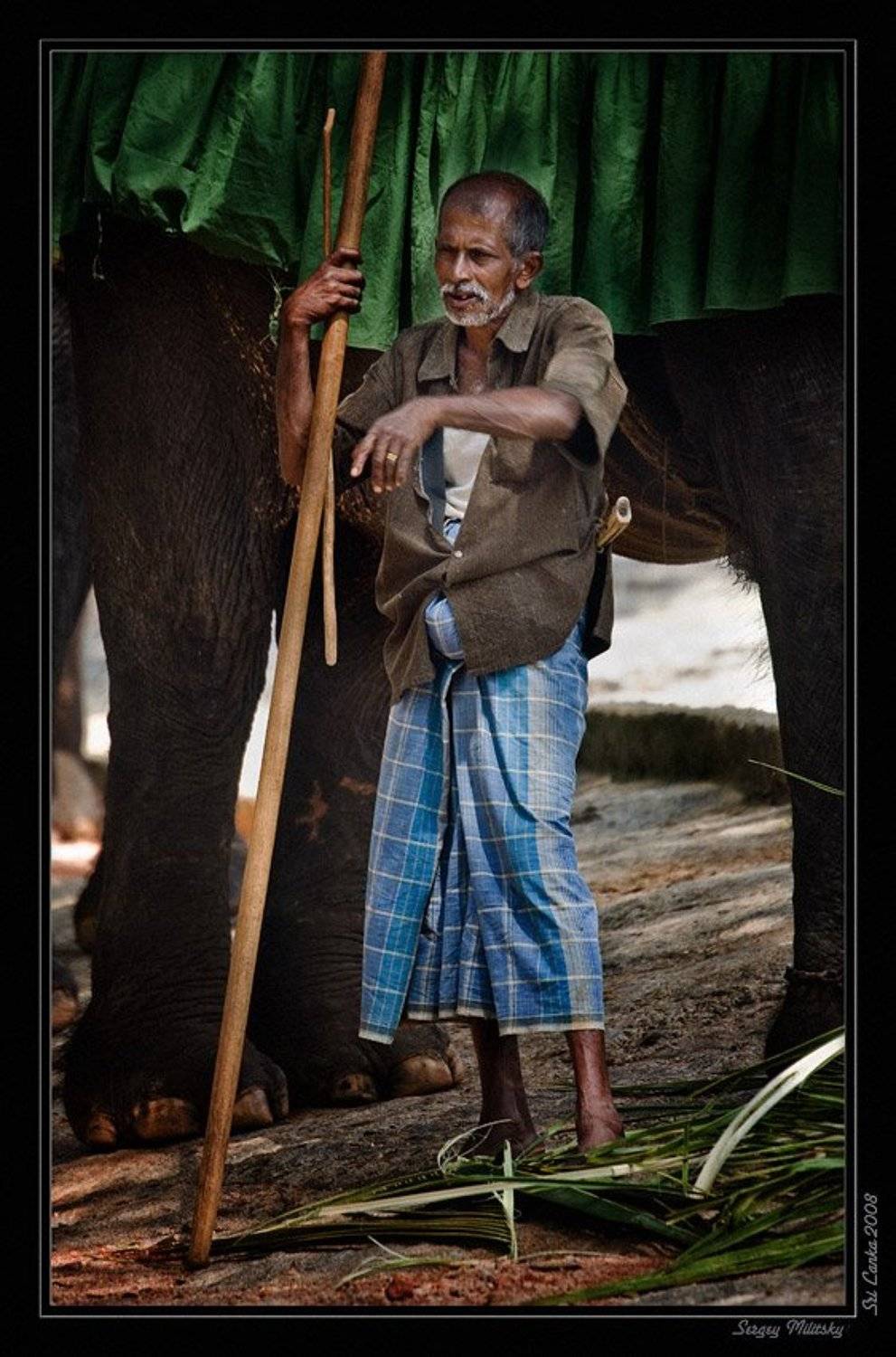 , Сергей Милицкий