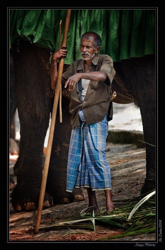 Погонщик слона фото превью