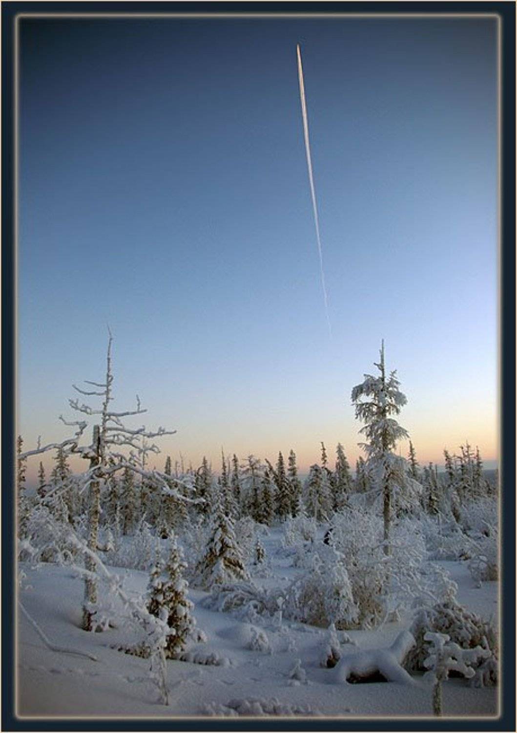 тайга,зима,самолёт, Солодухин Виктор