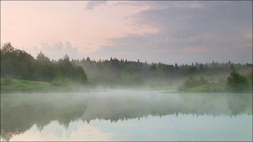 Туманная нежность