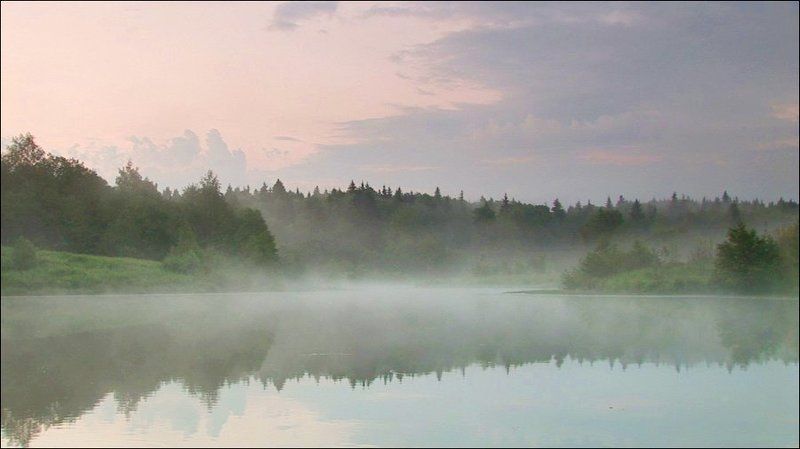 туман Туманная нежность фото превью