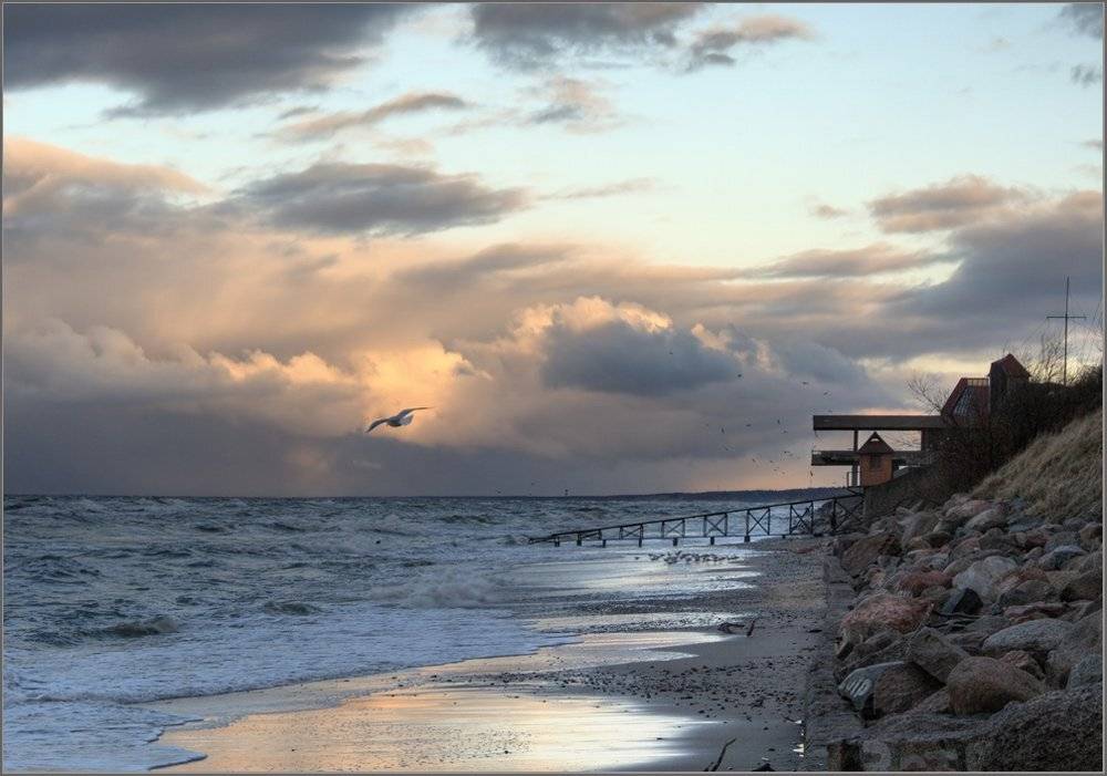 море, чайка, облака, Павел Дунюшкин