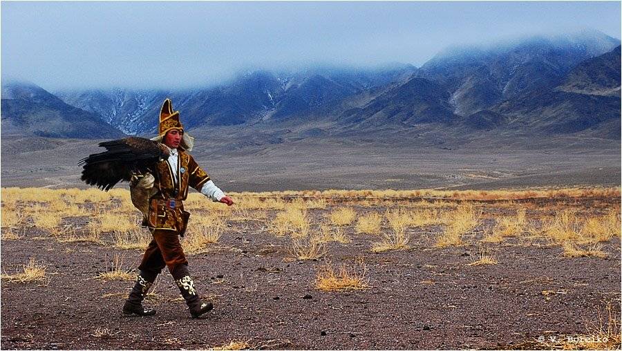 беркутчи, Вадько