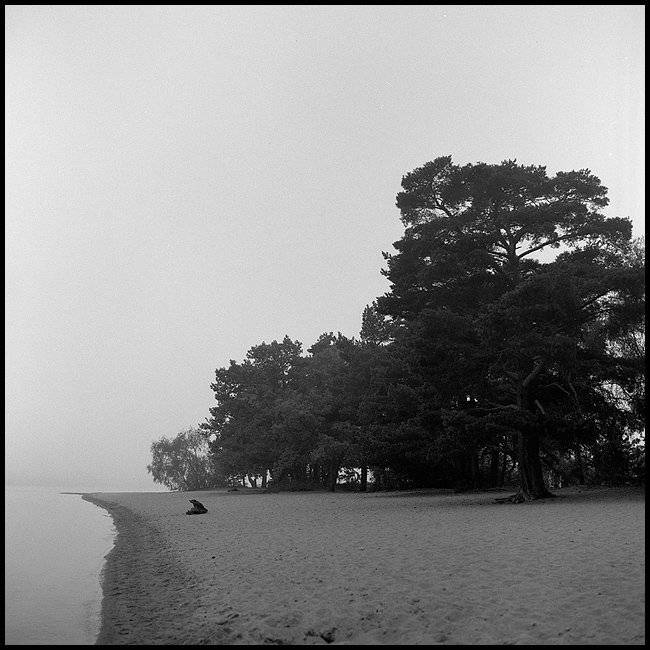 селигер, утро, август, silaev