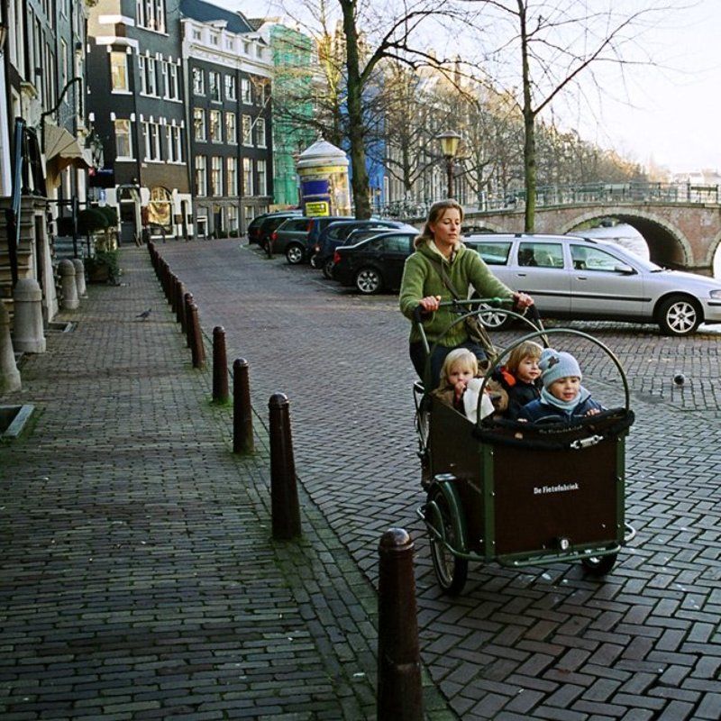 очерование, амстердам, метаморфозы Очарование Амстердама фото превью