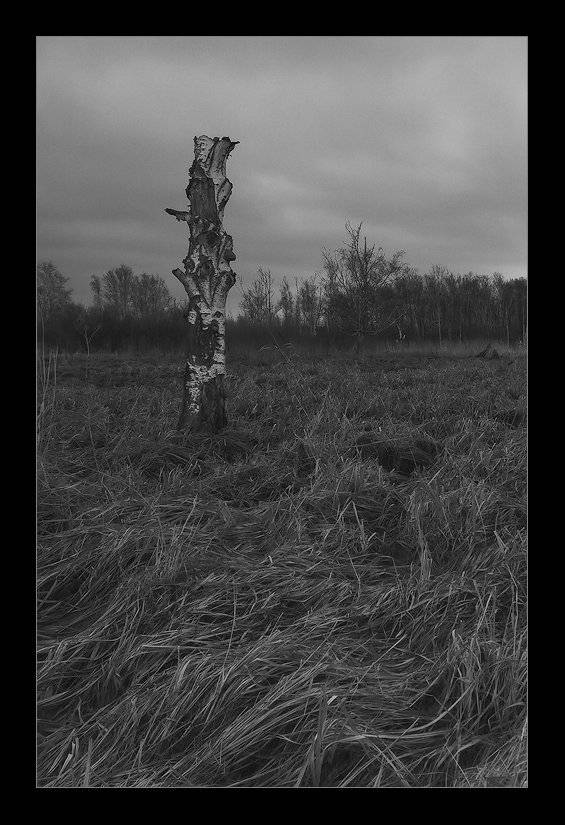 , Данил Ромодин