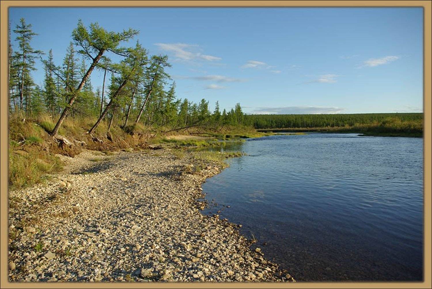 река,тайга,лето, Солодухин Виктор