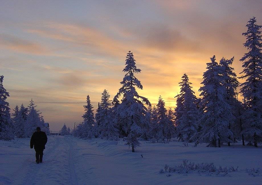 путник,тайга,зима,заря, Солодухин Виктор
